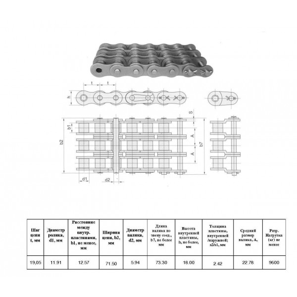 Ланцюг 3ПР-19,05-9600 L=5.01 м (263 L) (12A-3) (CT Chain)