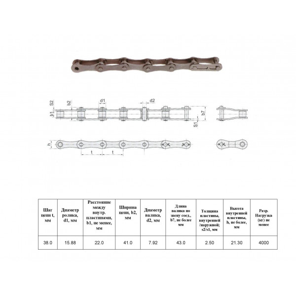 Ланцюг ПРД-38,0-4000 L=5.0 м ( 131 L) (ZGS-38.0-4000SP) (CT Chain)