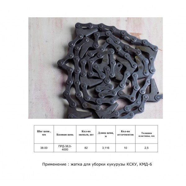 Ланцюг ТРД-38,0-4000-8t-82L (місовій) (ZGS38-40-CPG/8L-82L) (CT Chain)
