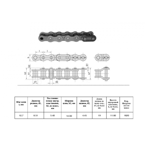 Ланцюг ПР-12,7-1820-1 L=2.5 м (197 L) (CT Chain)
