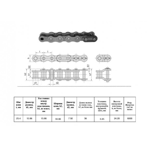 Ланцюг ПР-25,4-6000 L=5.0 м (197 L) (CT Chain)