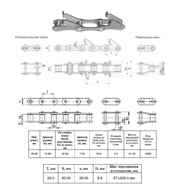 Цепь ТРД-38,0-4000-2-2-6-6 L=4,75 м (125 L) (CT Chain)