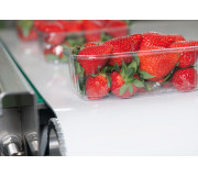 Пищевые транспортерные ленты