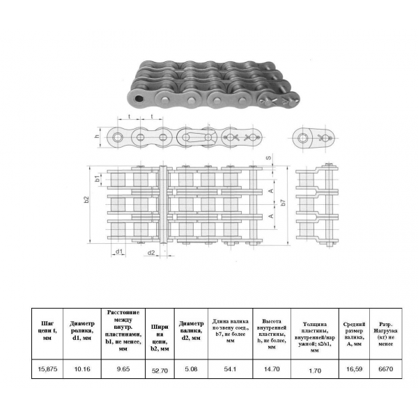 Ланцюг 10B-3 L=5,0 м (Renold SD)