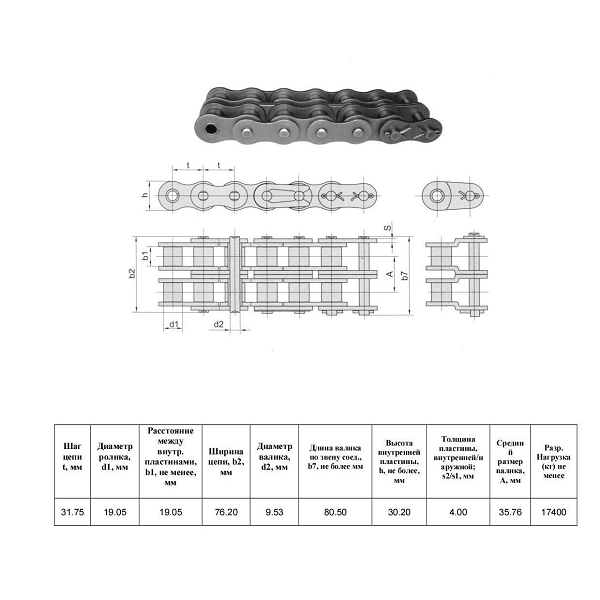 Ланцюг 100-2 L=3.05 м (Renold SD)