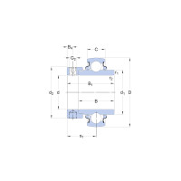 Подшипник YELAG205-100 SKF