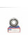Підшипник NJ306 ECP SKF