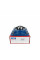 Підшипник в корпусі UCF310 SKF