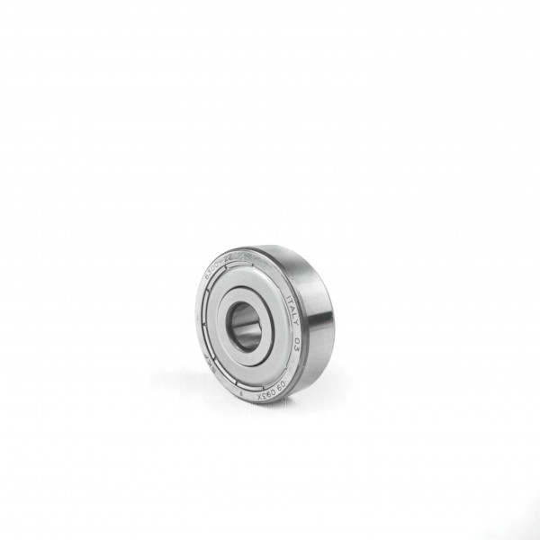 Підшипник 6300 ZZ SKF