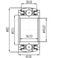Підшипник GW 209 PPB13