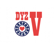 Подшипники DYZV (Китай)