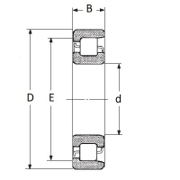 Підшипник NF 309 E